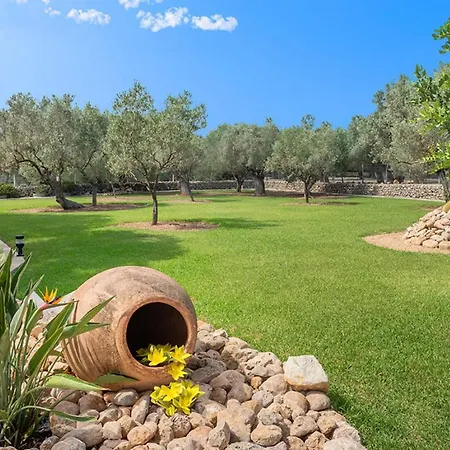 Pericas * Port de Pollença